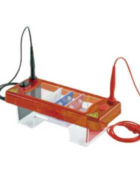 99-7220new巴罗克恒温抽屉冻存架不锈钢系列冻存架-滑槽式抽屉型