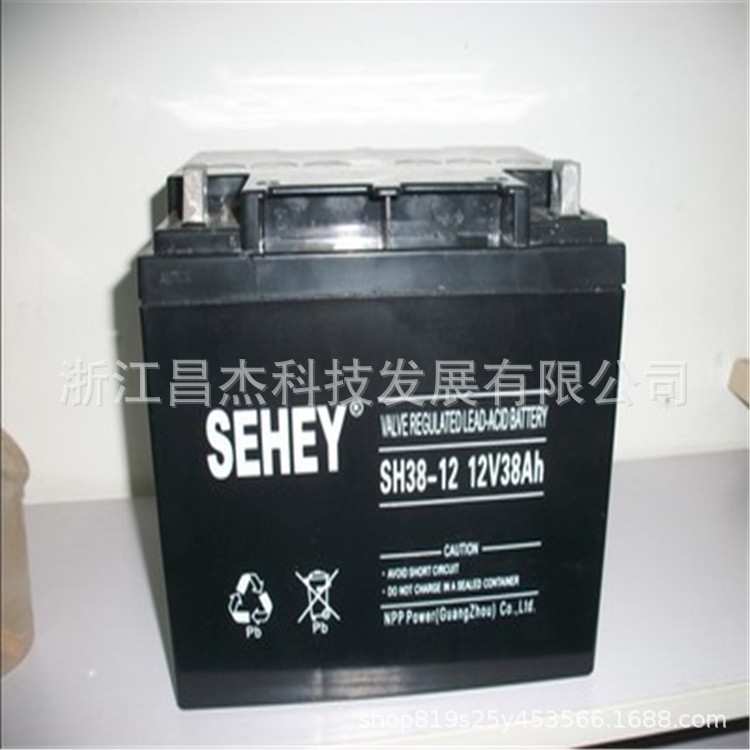 SEHEY西力蓄电池12V38AH  免维护SH38-12 UPS电源直流屏后备电源