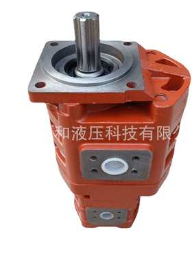 CBGj3100/1010C-XF 德工ZL50配套双联泵 厂家供应 铸铁齿轮泵厂家