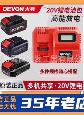 大有5401锂电电池充电器20V大有20V 2.0/4.0/5.0锂电池190W充电器