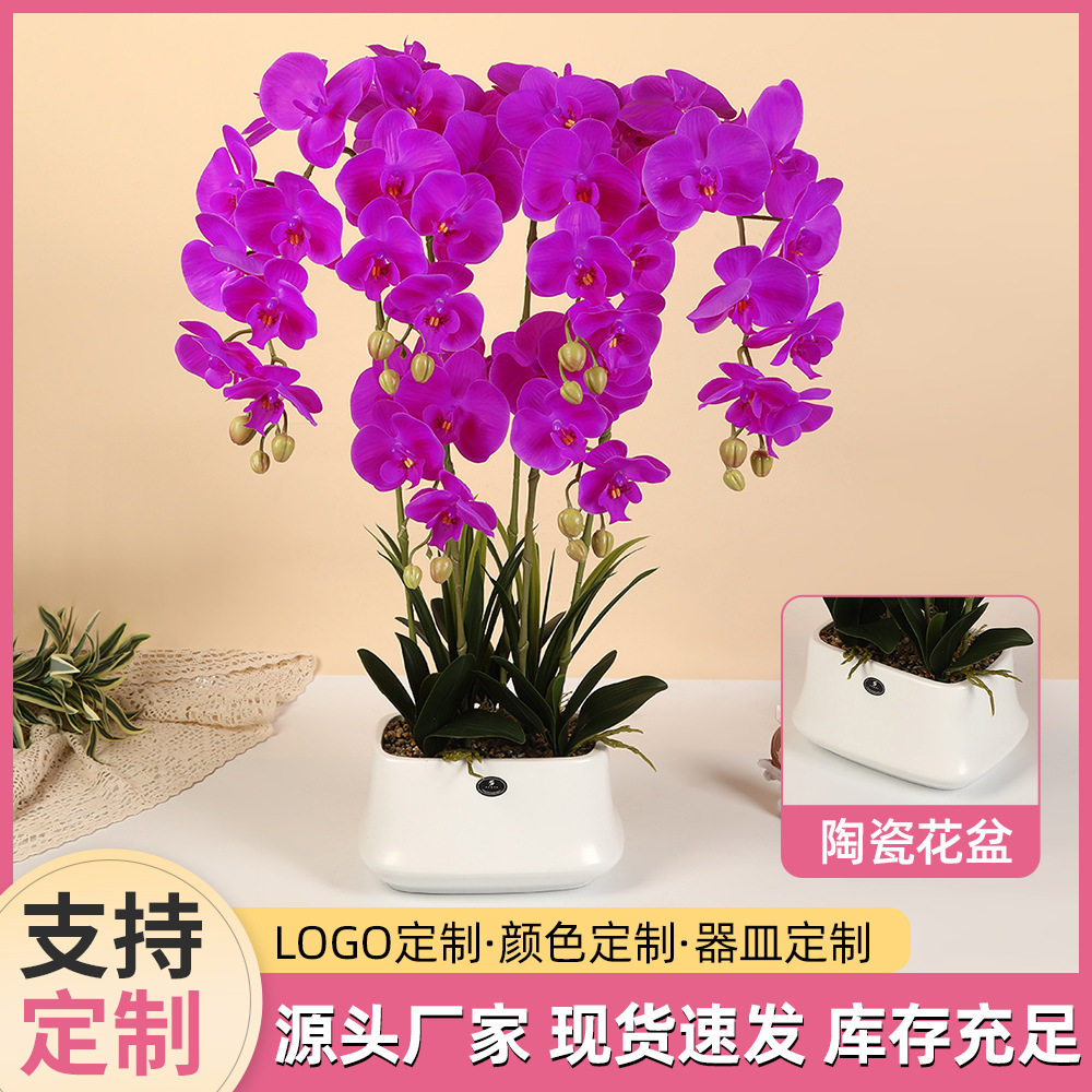 北欧轻奢蝴蝶兰陶瓷盆栽胶印手感仿真花盆景客厅餐桌摆设人造花盆
