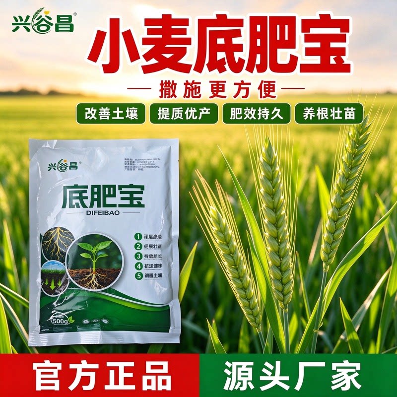 底肥宝小麦种植专用均衡肥力养分充足壮根壮苗混掺肥长势稳健丰产
