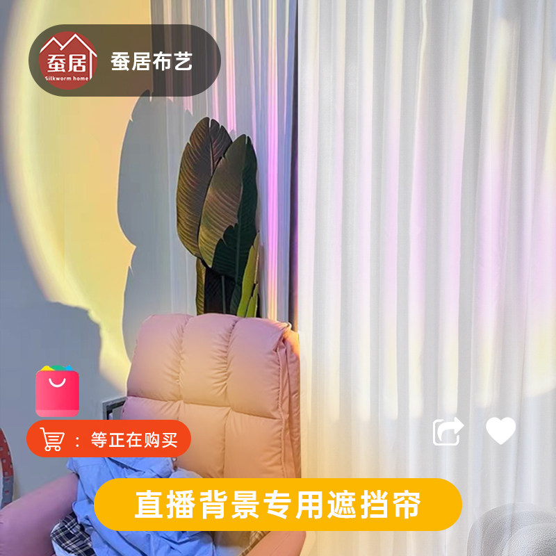 直播间背景墙窗帘布免打孔装饰专用魔术贴网红女主播白色纱帘窗纱