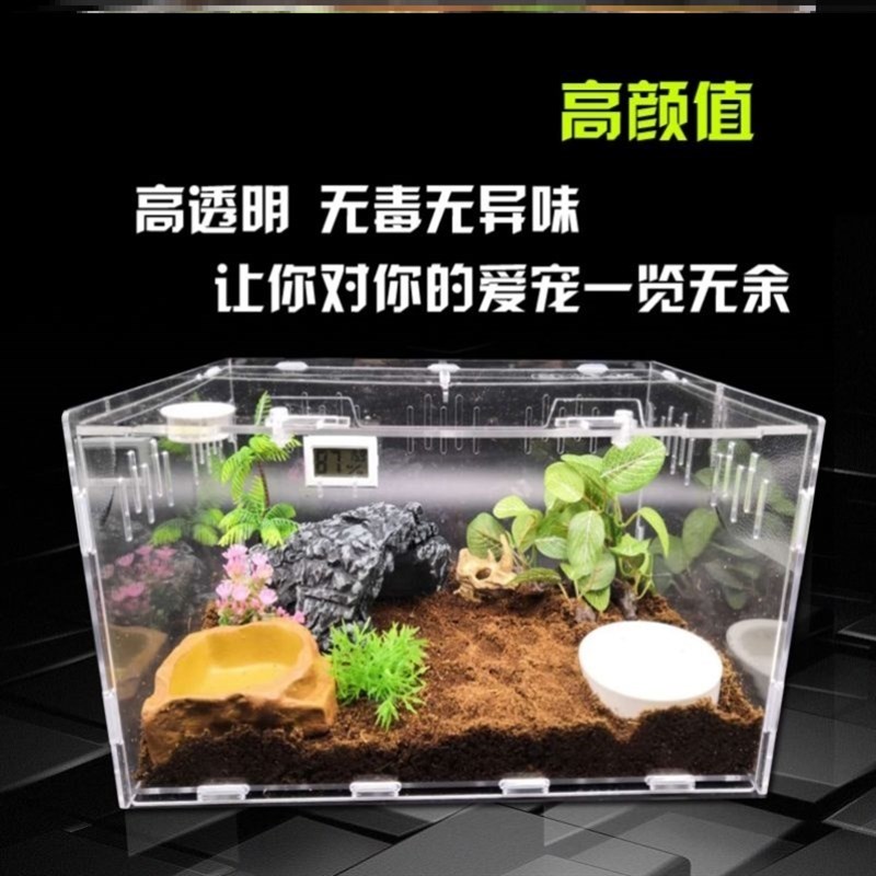 螃蟹生态缸鱼缸乌龟缸混合养寄居蟹生态缸养小螃蟹专用缸爬宠饲养