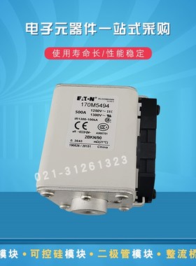 快速熔断器保险丝170M5484 5494 5495 5496 5497 5498 5499 5500