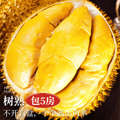 包6房！正宗金枕榴莲顺丰极速达