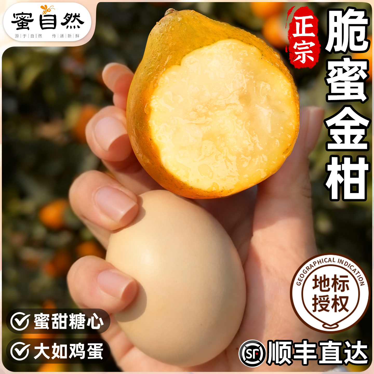 【送礼优选】融安脆蜜金柑