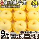 顺丰山东维纳斯黄金苹果新鲜水果当季 整箱雀斑圣诞苹果礼盒冰糖