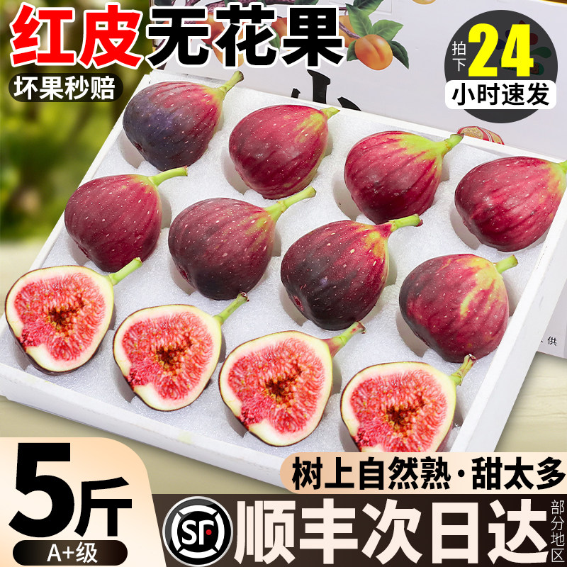 【顺丰包邮】四川红皮无花果鲜果特大爆甜无花果果王当季新鲜孕妇