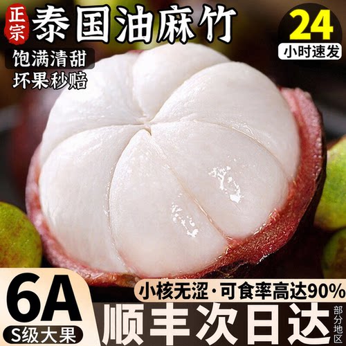 【真6A】懂货的都懂油麻竹！
