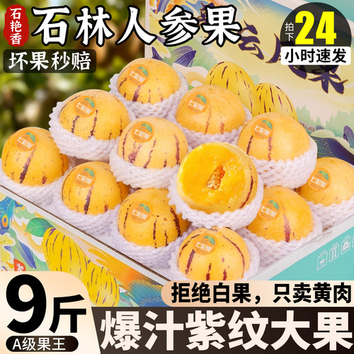 只卖树上熟黄果丨S+级石林人参果