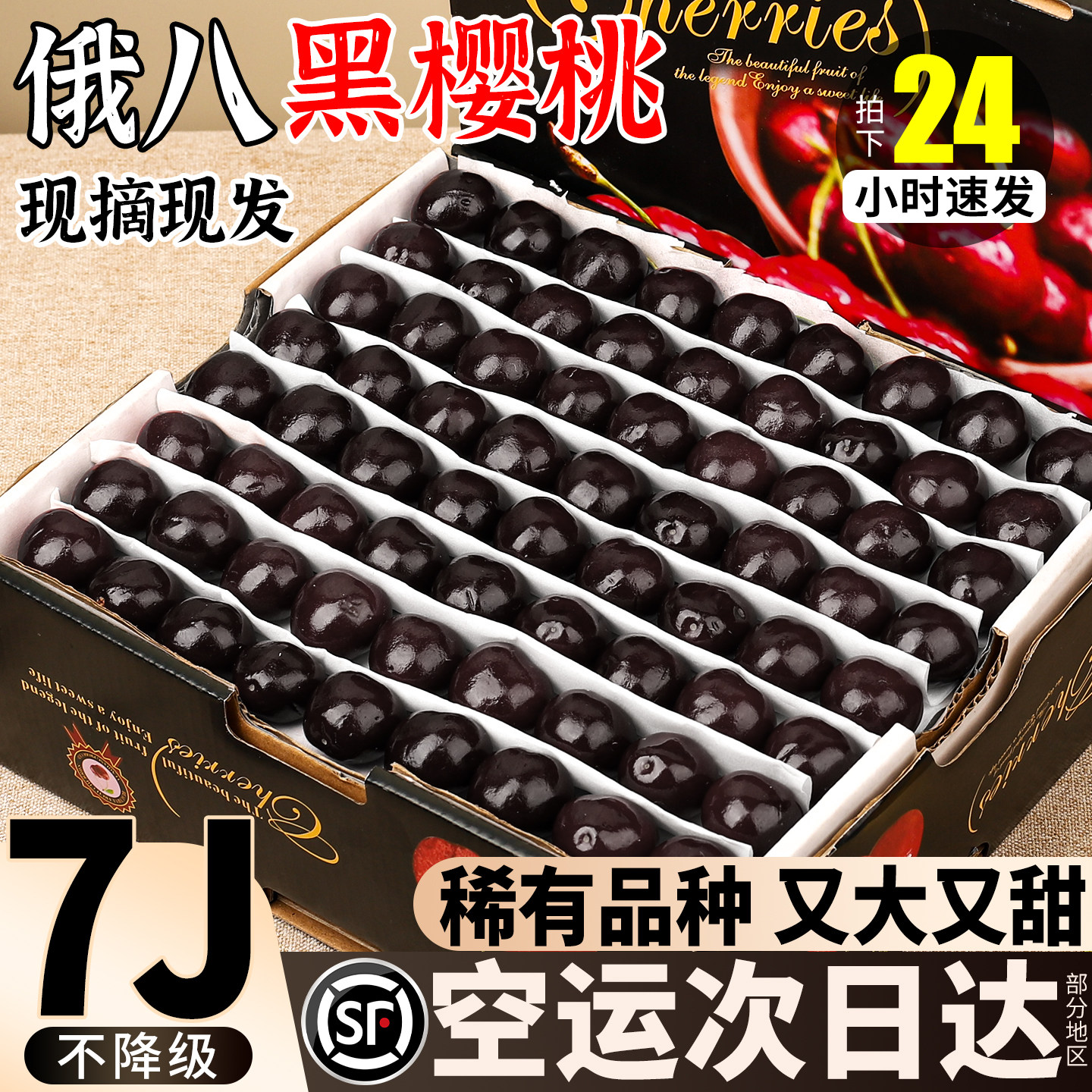 【高端品种】真7J俄八黑樱桃
