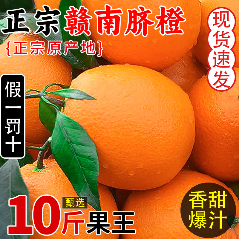正宗江西赣南脐橙10斤橙子当季水果新鲜赣州果冻手剥冰糖甜橙整箱