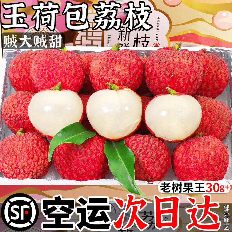 【老树果王贼大贼甜】玉荷包荔枝