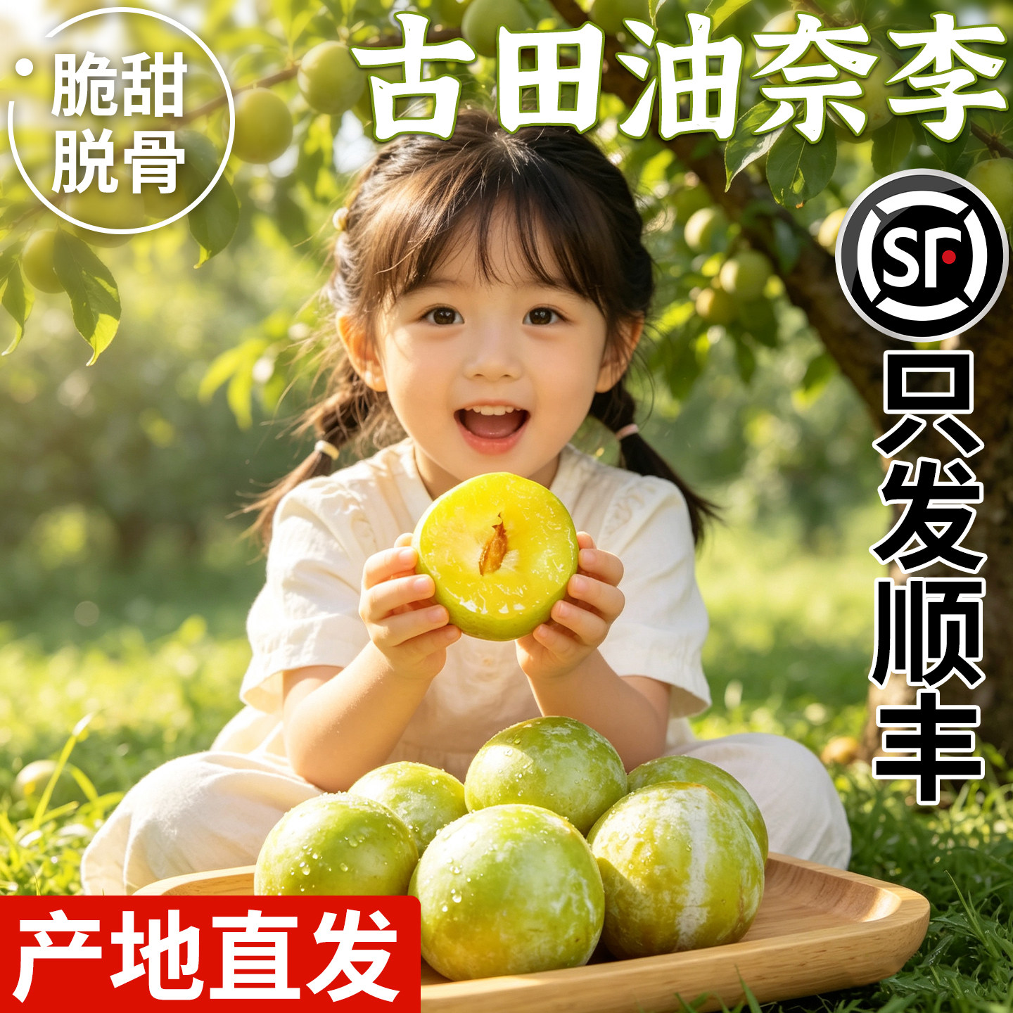 【顺丰次日达】正宗古田油奈