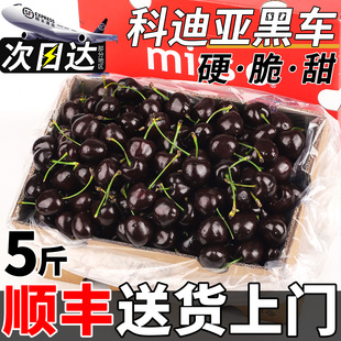 顺丰空运科迪亚5JD智利进口车厘子新鲜水果包邮进口5斤特大果黑果