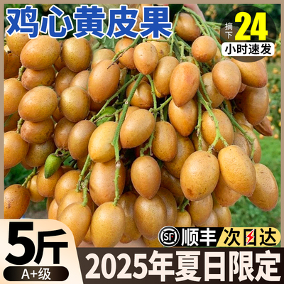 【官方热销榜】广东鸡心黄皮果
