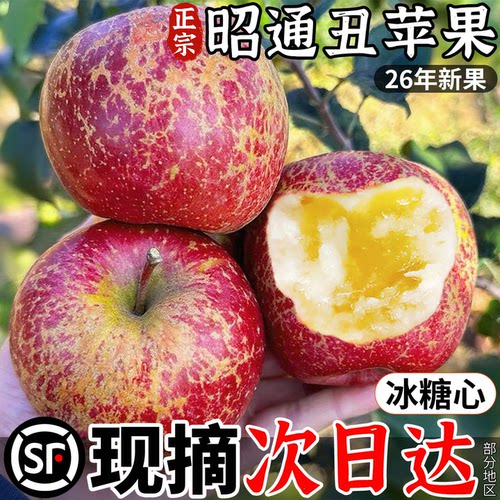 冰糖心脆甜昭通丑苹果送礼首选！