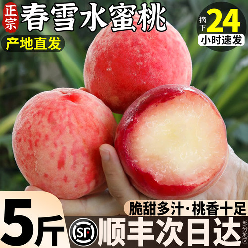 【官方推荐】春雪水蜜桃软脆两吃