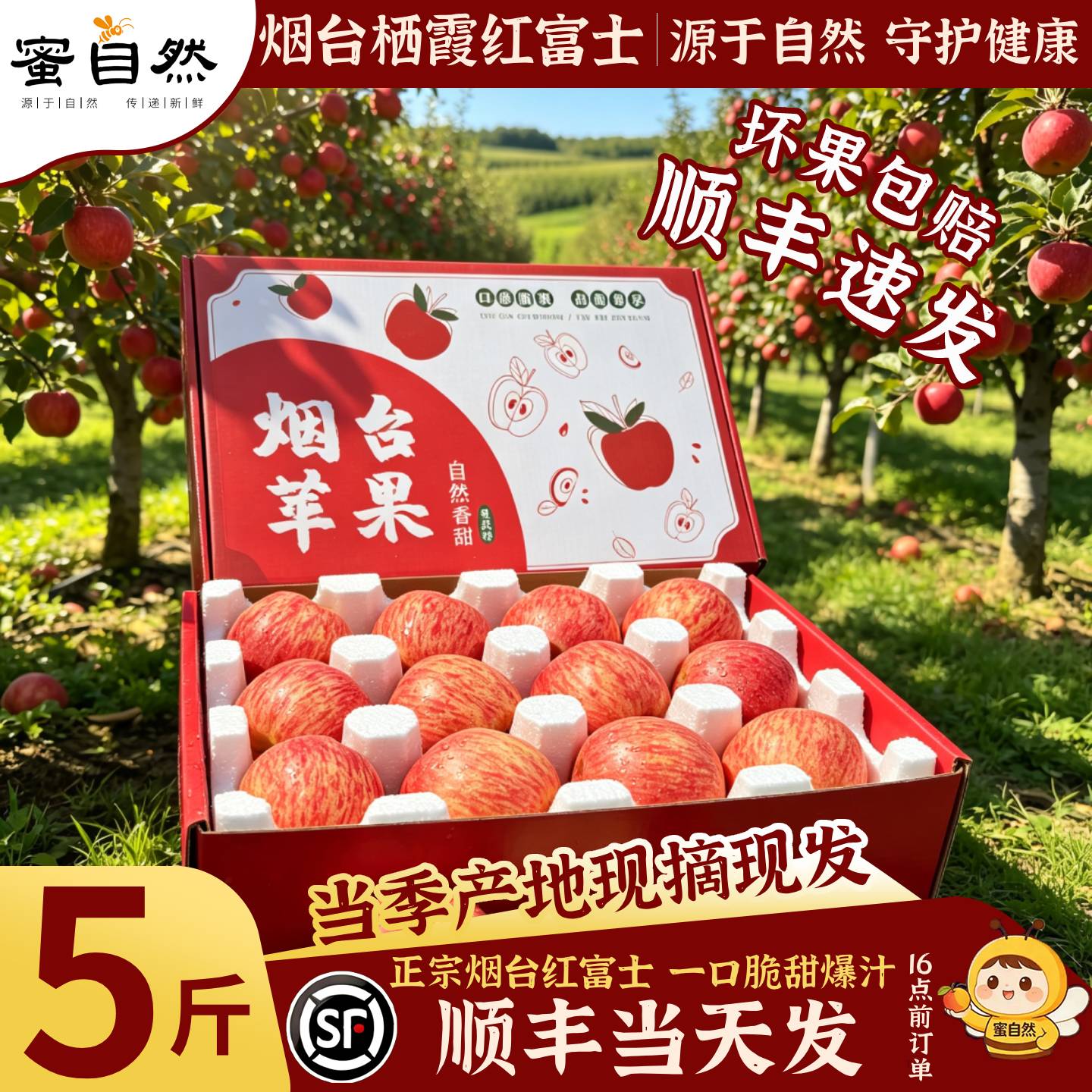 【官方推荐】正宗烟台红富士苹果