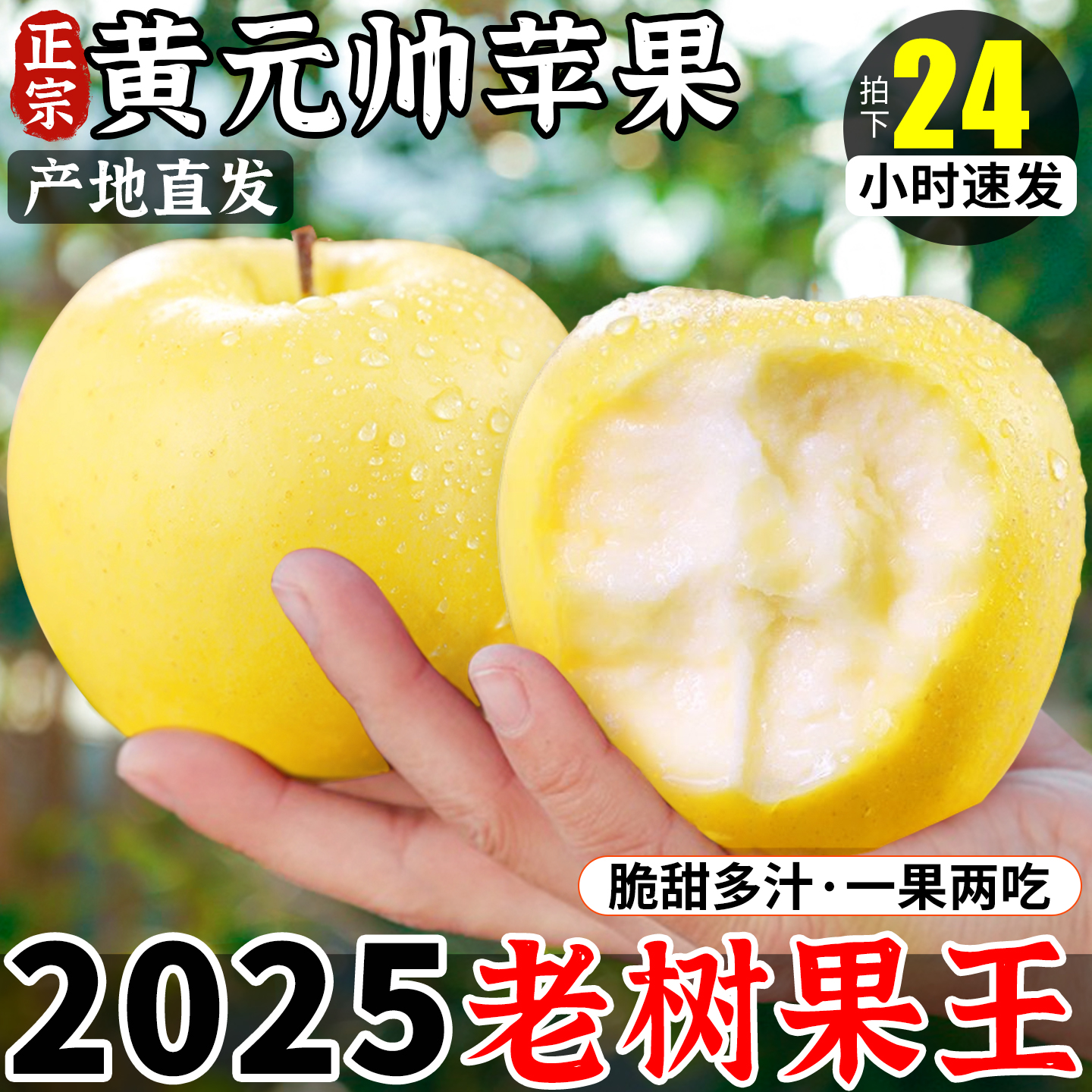 正宗产地黄元帅苹果新鲜水果当季奶油红富士粉面刮泥黄金黄香蕉平