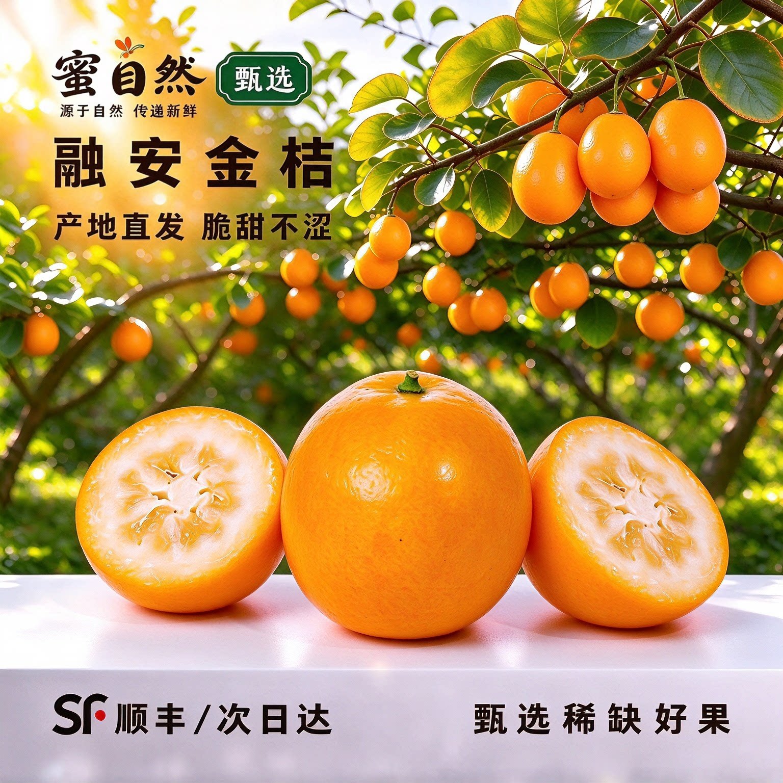 【顺丰次日达】脆蜜金柑贼大贼甜