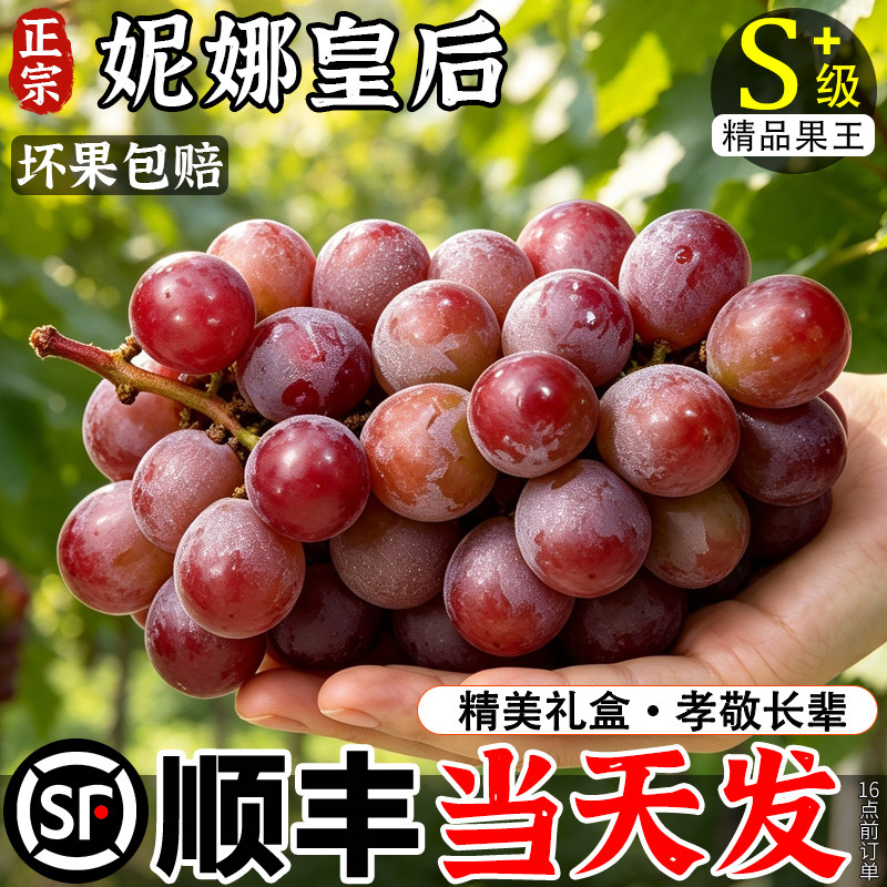 顺丰次日达丨妮娜皇后葡萄4斤