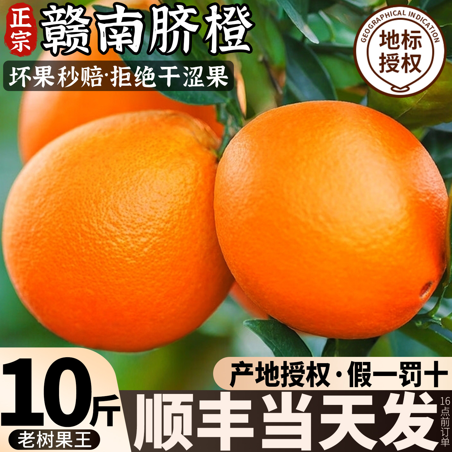 【官方推荐】正宗原产地赣南脐橙