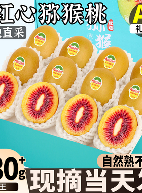 四川红心猕猴桃浦江奇异果24枚大果应当季新鲜水果弥猴桃孕妇