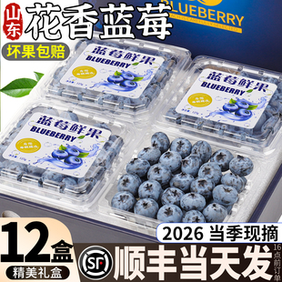 蓝莓新鲜水果12盒山东花香鲜果特产水果当季现摘整箱包邮礼盒装