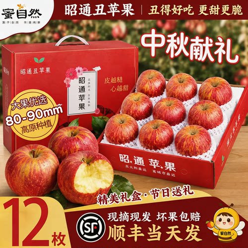 冰糖心甜蜜丨昭通丑苹果树上熟
