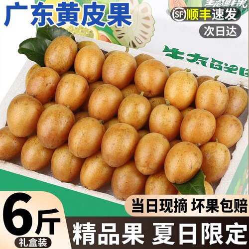 顺丰礼盒丨鸡心黄皮果