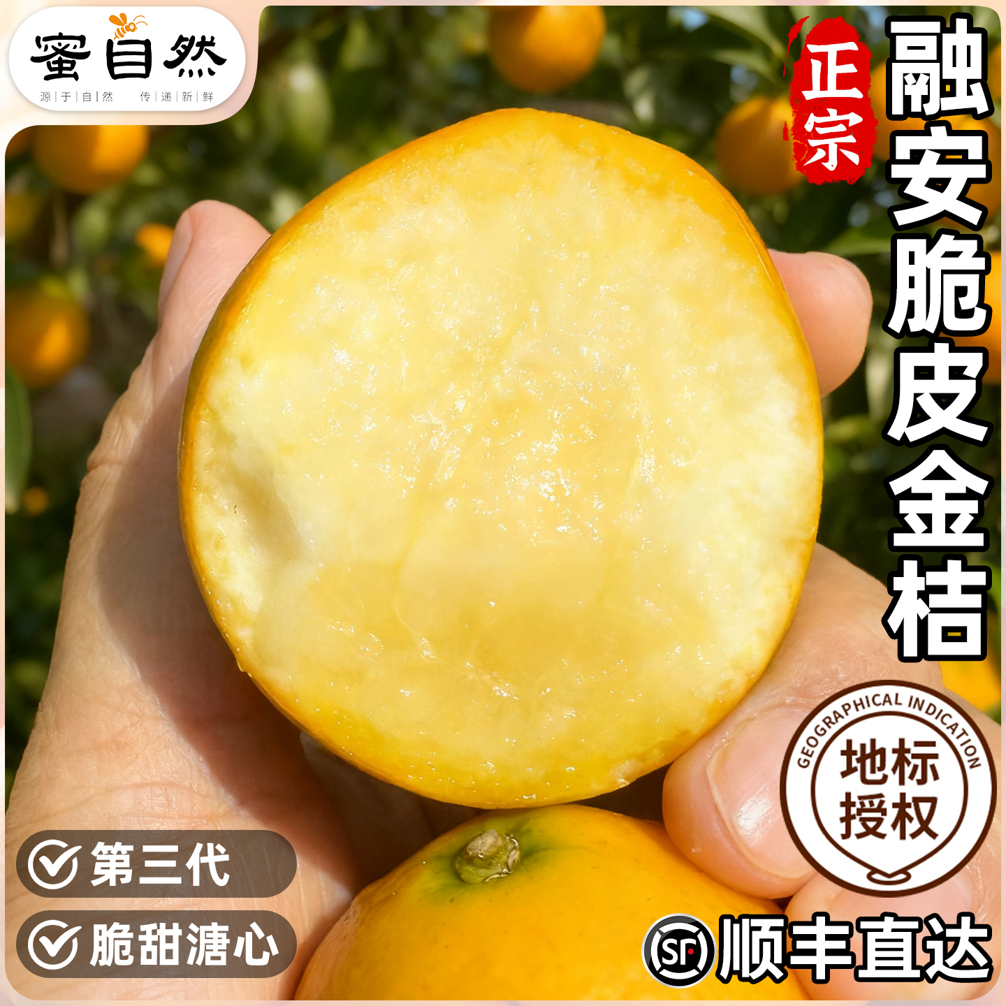 顺丰广西融安脆皮金桔口感纯甜皮脆新鲜应季水果二代金桔5斤礼盒