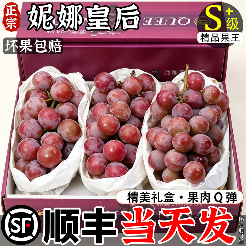顺丰次日达丨妮娜皇后葡萄4斤