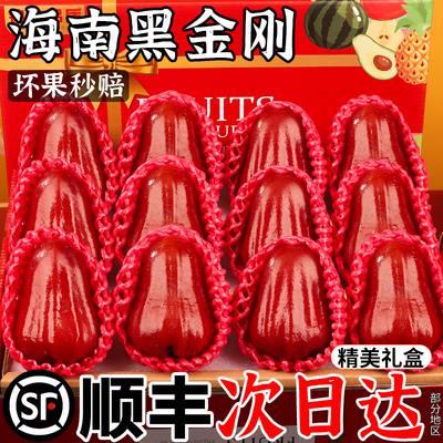 【顺丰】5斤正宗黑金刚莲雾当季
