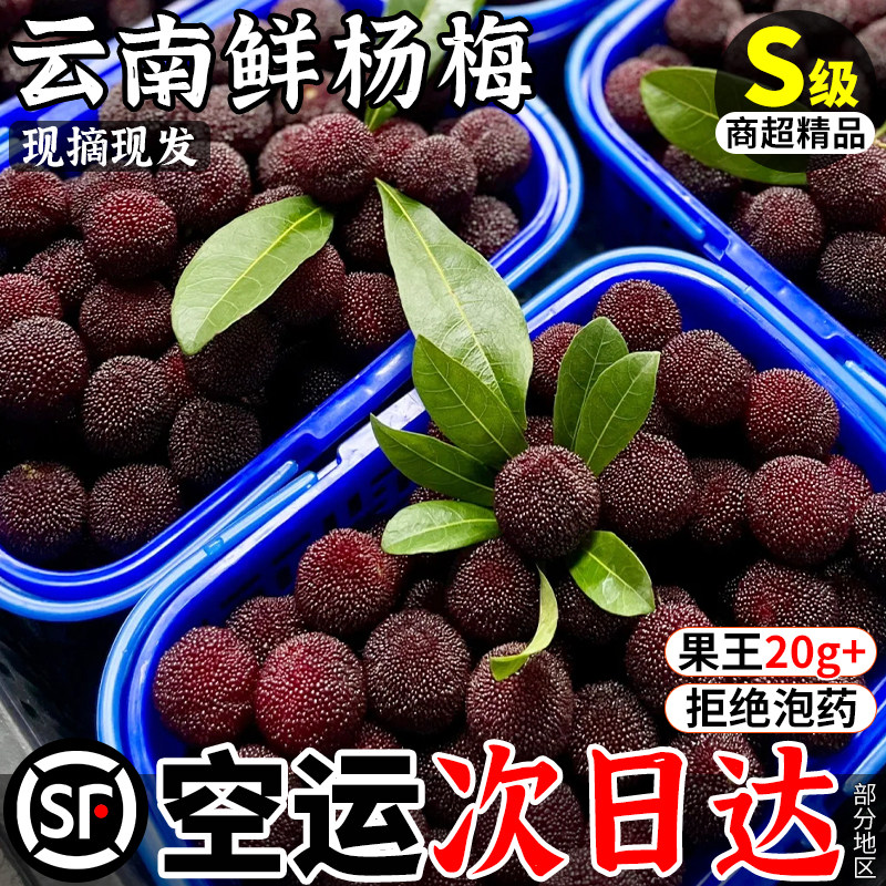空运正宗云南杨梅鲜果新鲜现摘现发石屏当季东水果魁5斤仙礼盒居