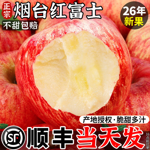 顺丰包邮/正宗烟台红富士