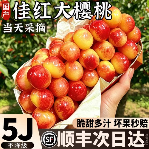 空运次日达丨凯迪雷拉佳红樱桃