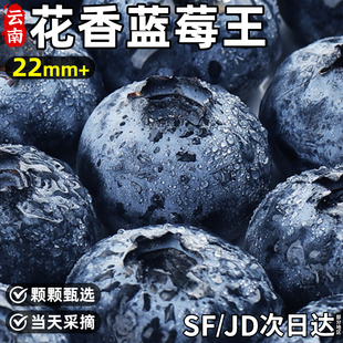 现摘云南蓝莓花香蓝莓12盒鲜果当季新鲜水果整箱包邮孕妇蓝梅
