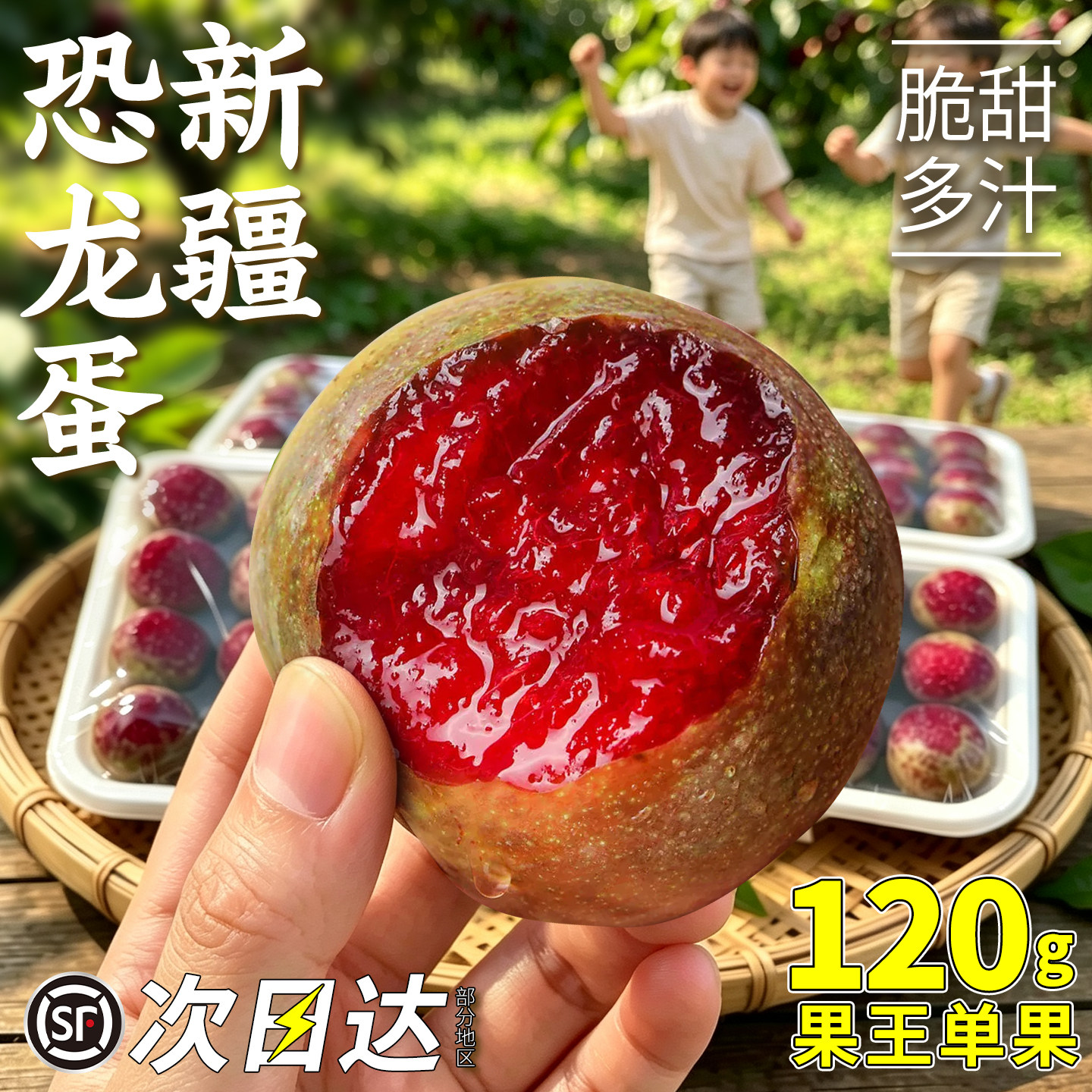 【顺丰次日达】正宗新疆恐龙蛋
