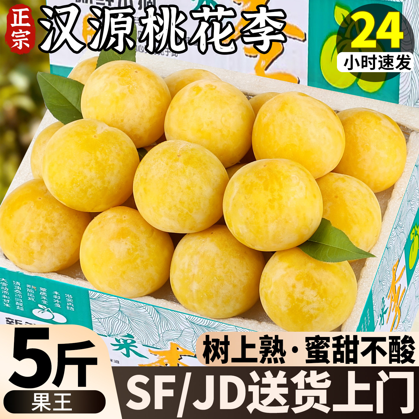 当季现摘现发丨纯甜无酸桃花李