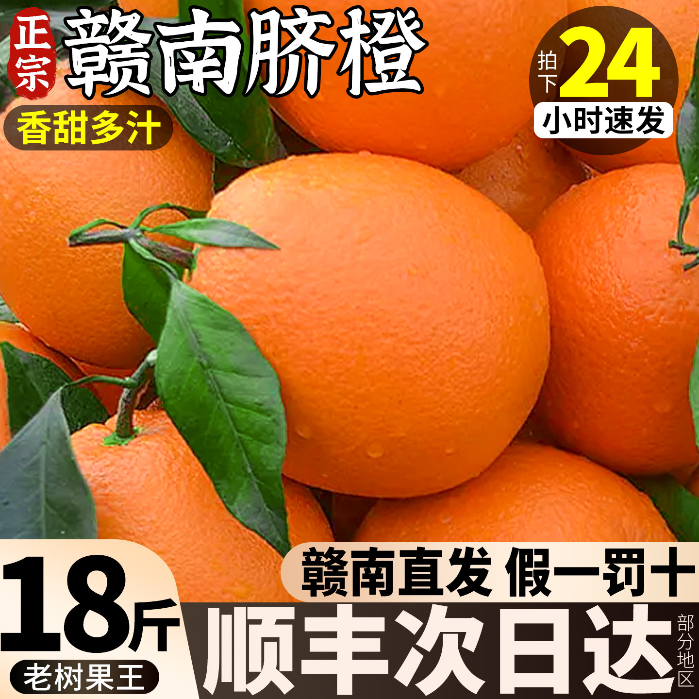 【顺丰次日达】正宗赣南脐橙