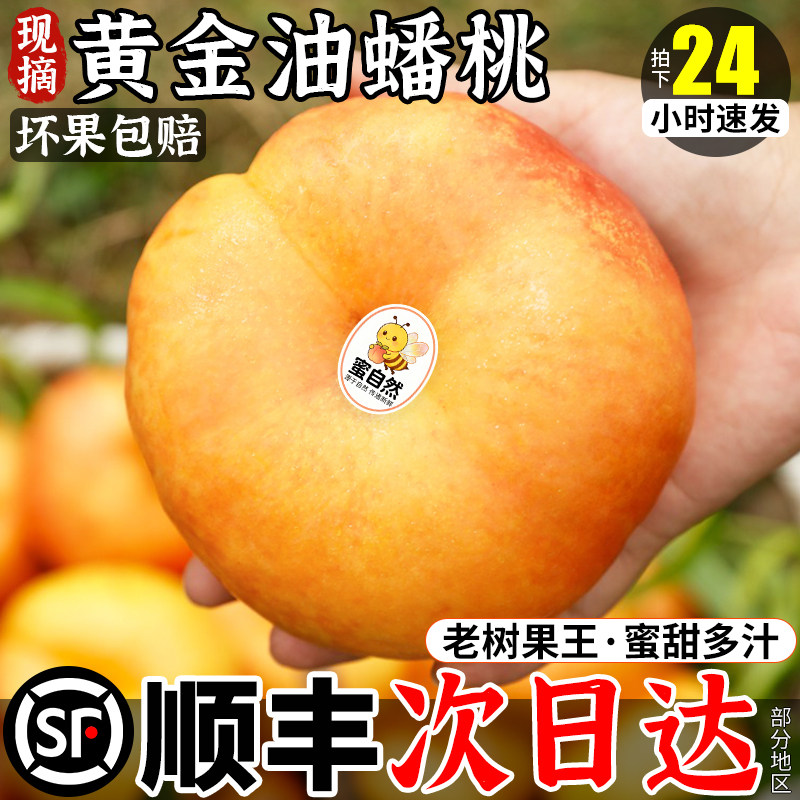 黄金蟠桃桃子新鲜水果山东蒙阴应当季高山黄水蜜油桃扁桃整箱纽扣