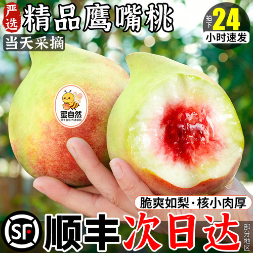 顺丰包邮|产地直发|正宗鹰嘴桃