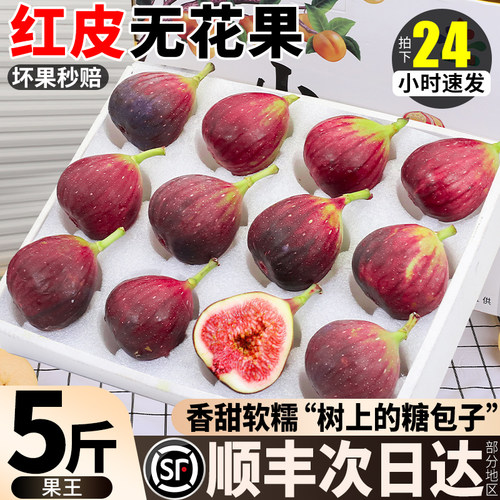 顺丰包邮丨云南红皮无花果