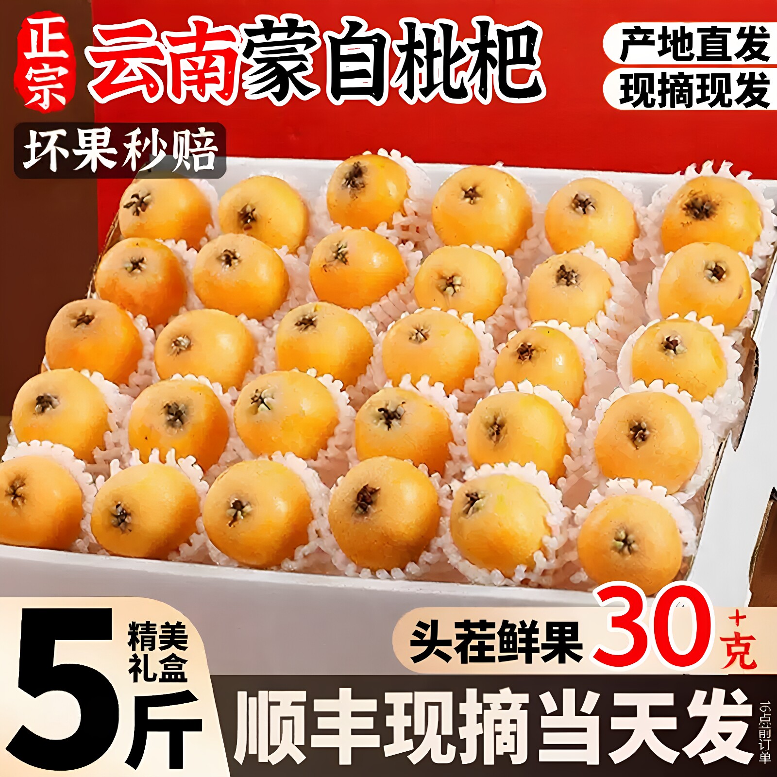 【顺丰次日达】现摘蒙自甜枇杷