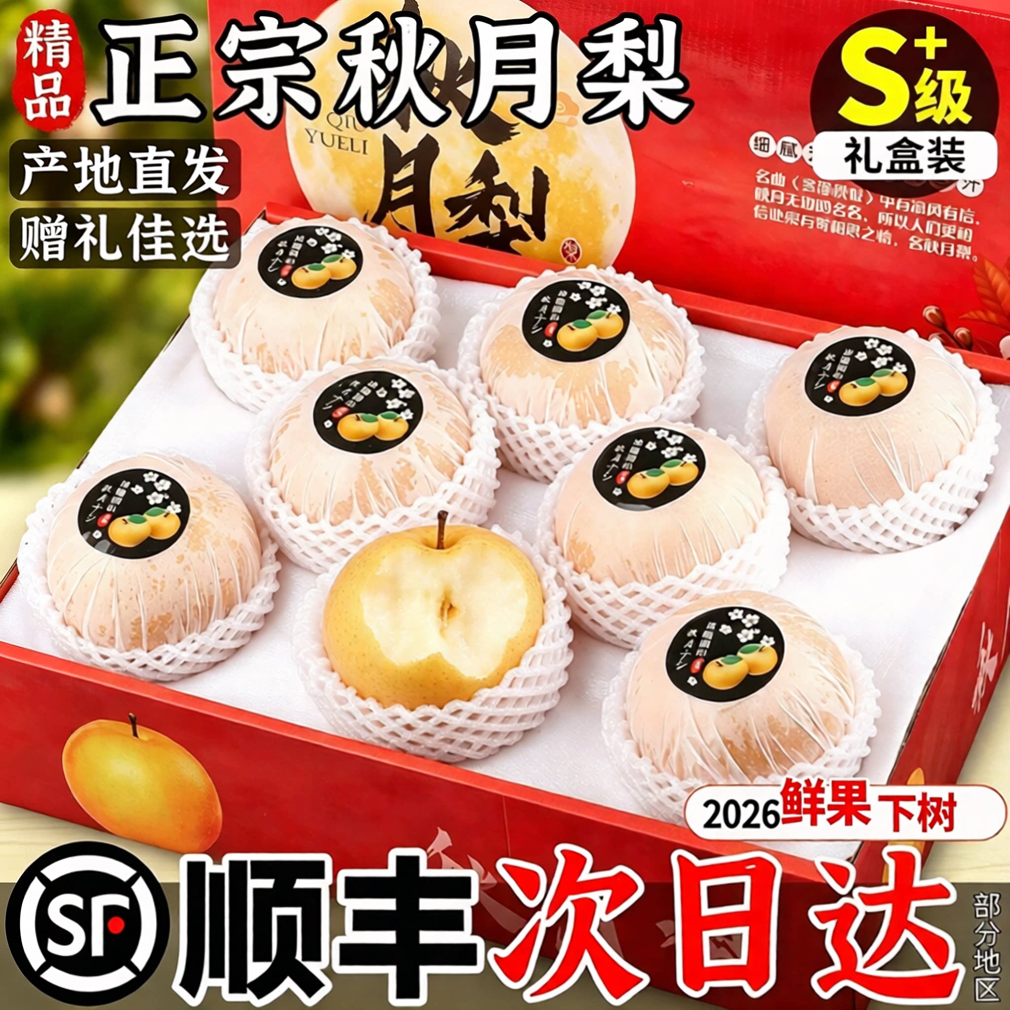 正宗莱阳秋月梨新鲜水果正品山东梨9斤应季当季整箱限定礼盒顺丰