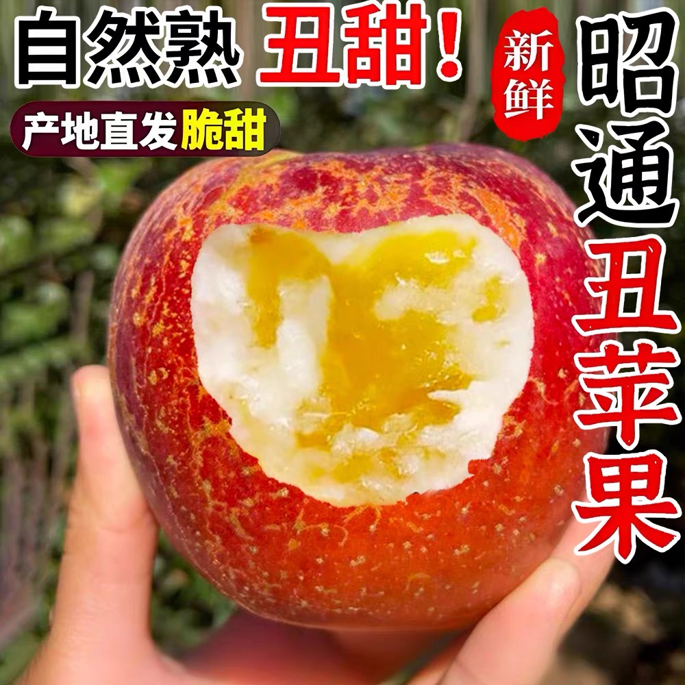 脆甜冰糖心丨正宗昭通丑苹果5斤