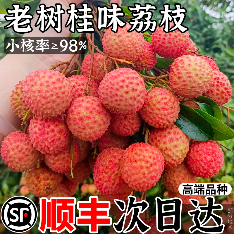 【顺丰次日达】商超一级果桂味