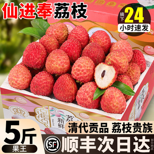 高端品种丨顺丰当季仙进奉荔枝